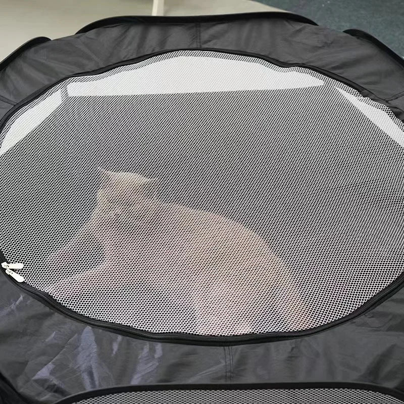 Túnel de gatos com casinha transparente